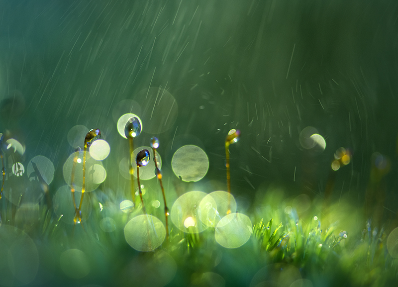 《润物细无声》