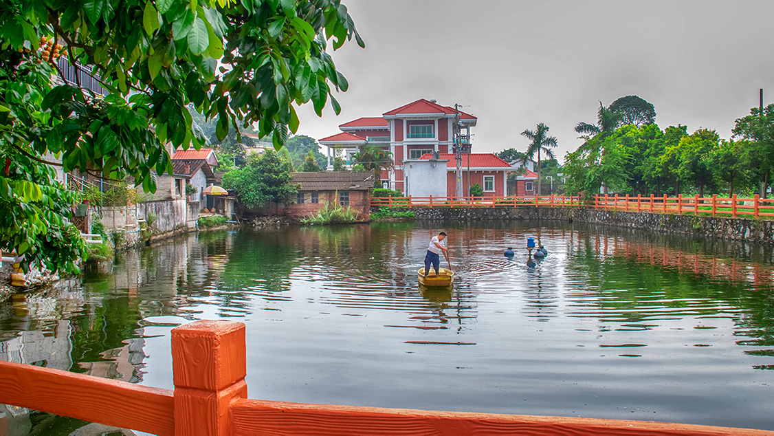 莲塘印象-"生态增城 旅游圣地"全国摄影大展投稿区-大众摄影网