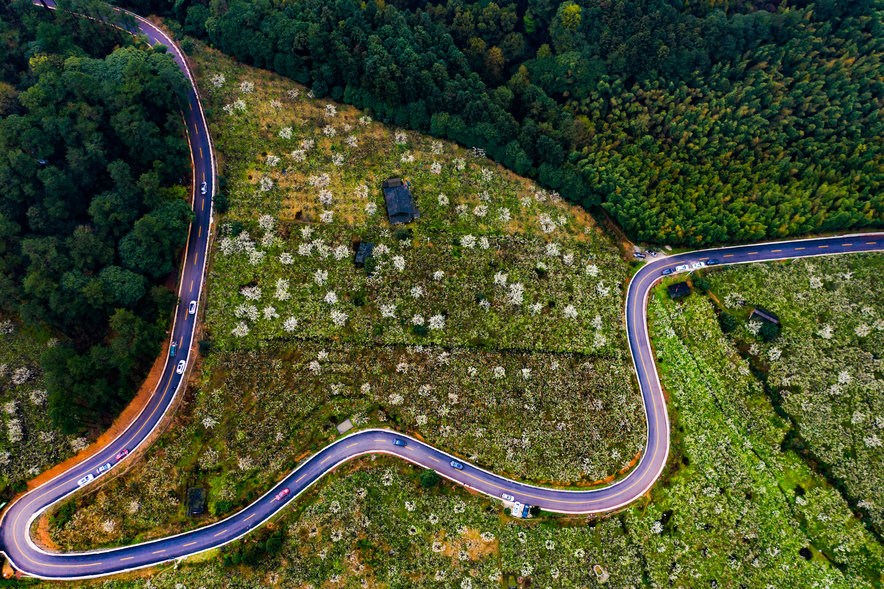 2019年4月摄于湖南省靖州苗族侗族自治县排牙山农村公路.