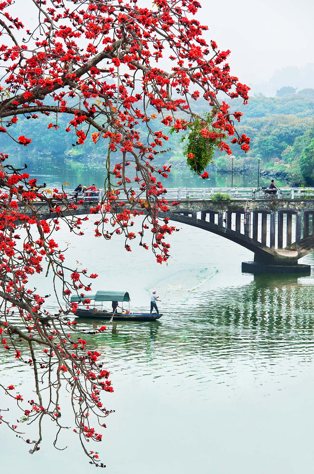 2017年拍摄于增城仙村
