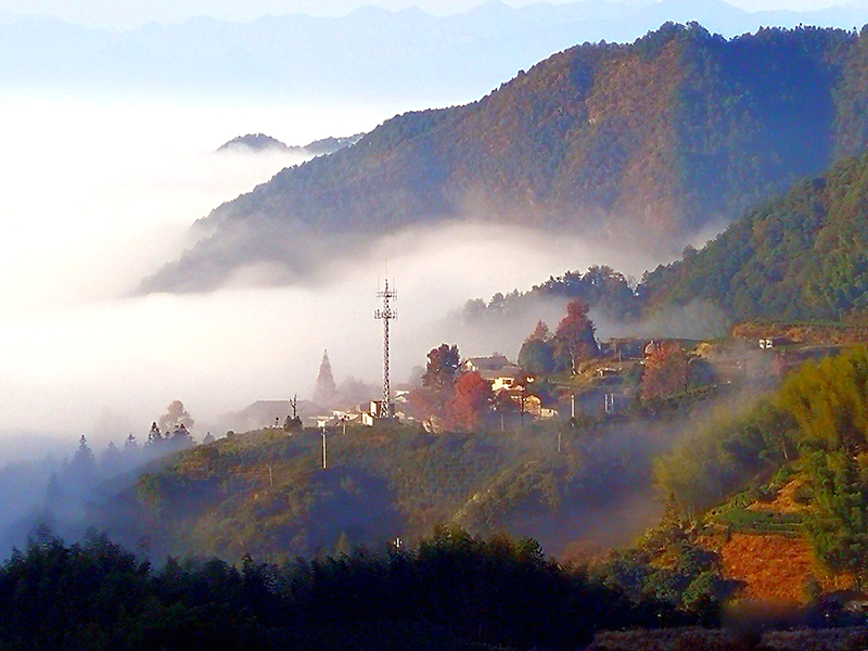 拍于浙江松阳县四都乡.那里云雾变化无穷,随时能变成美景.