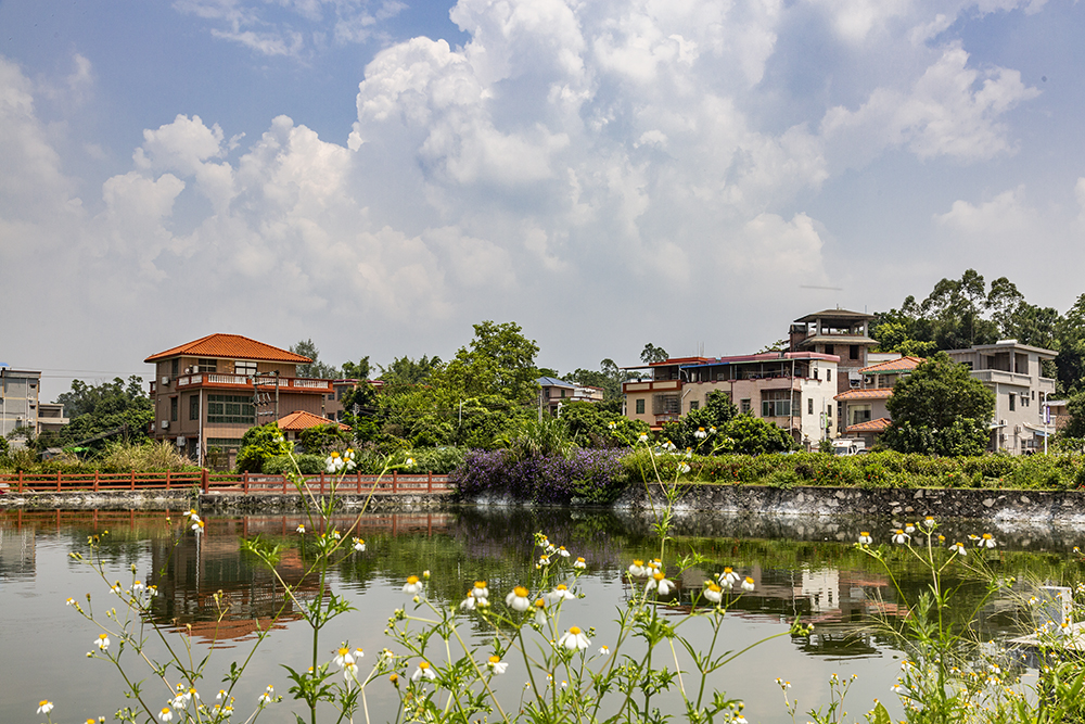 增城大埔围村新貌