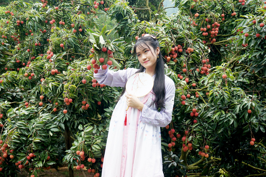 标题:组照《增城荔枝西施》