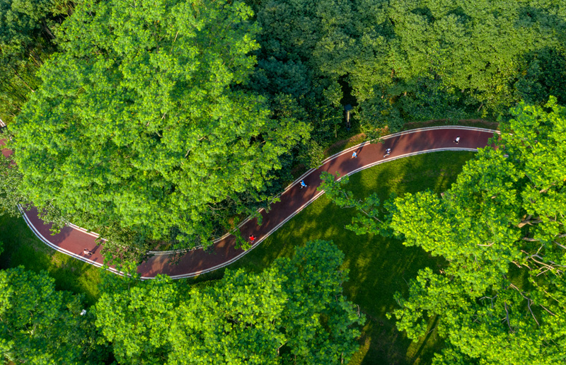 《樱花公园绿道》
