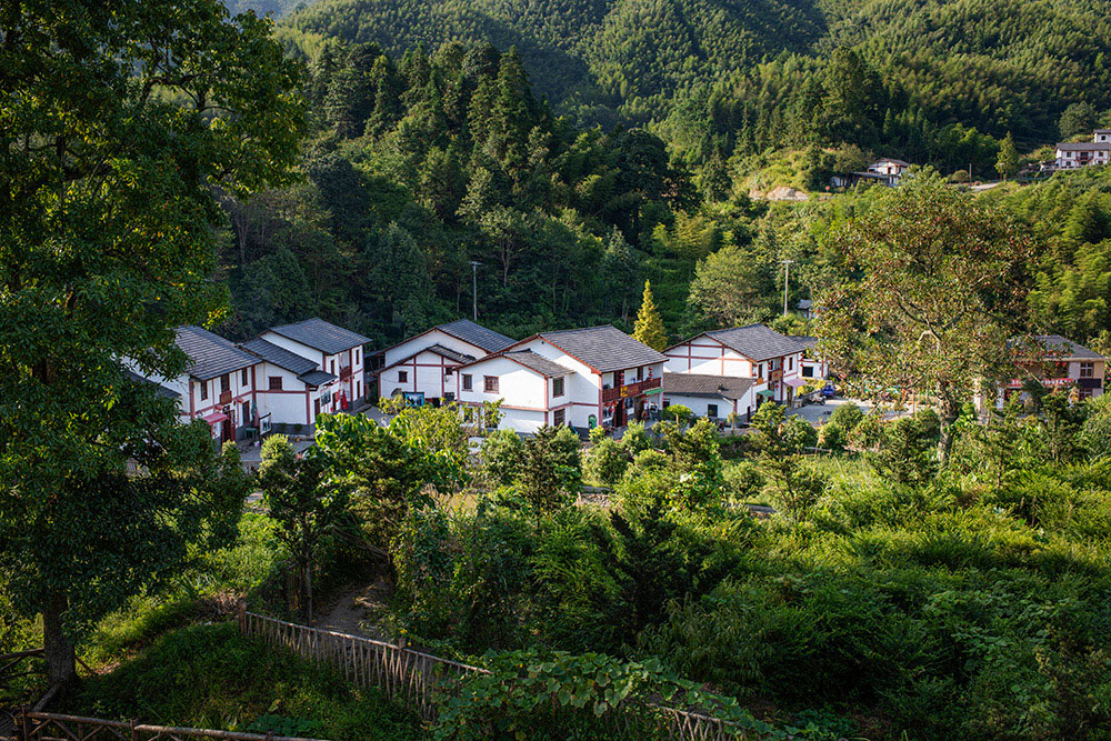 如今神山村变化多