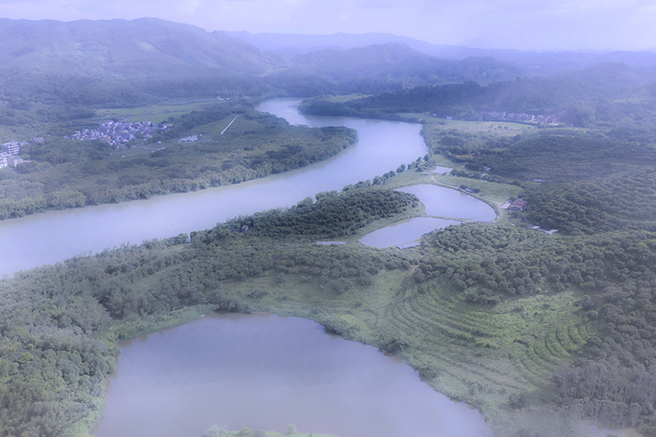 《海心岛湿地》组照