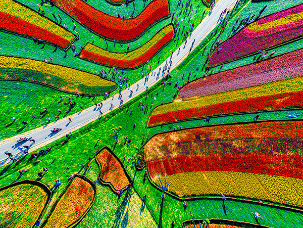 五彩缤纷的大地