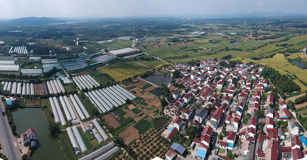 334 336 全景图 小图.jpg