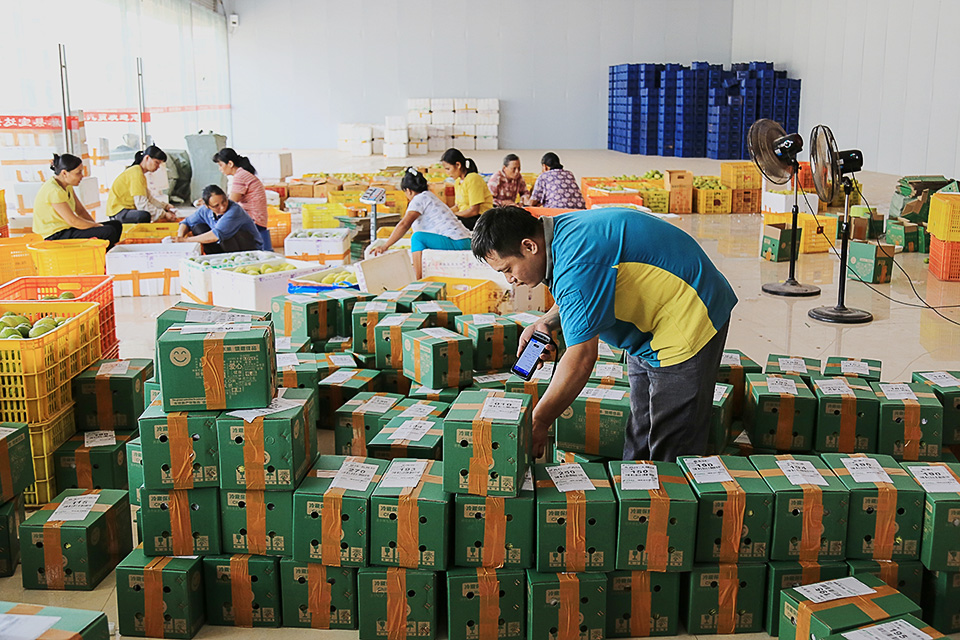 组照6,电商打码发货.