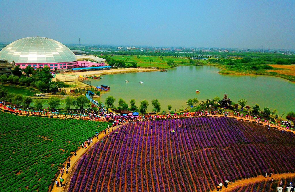 美好乡村现代农业-南陵大浦