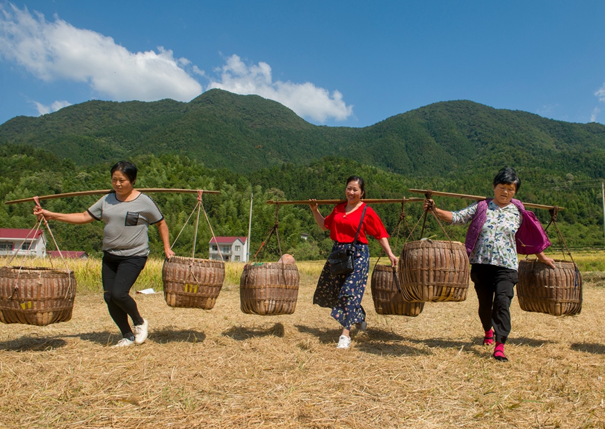 本片在2019"农民丰收节"前夕即9月22日拍摄于石台县丁香镇库山村.