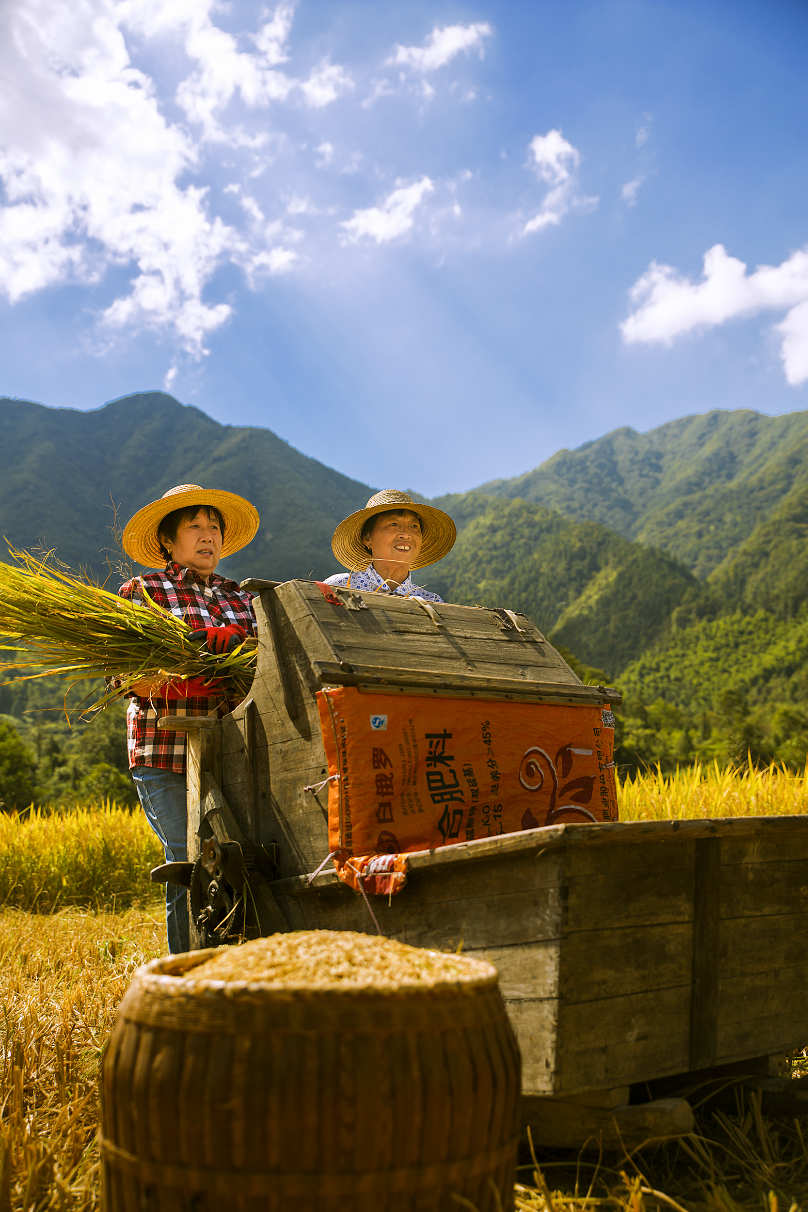 打稻声声秋收忙