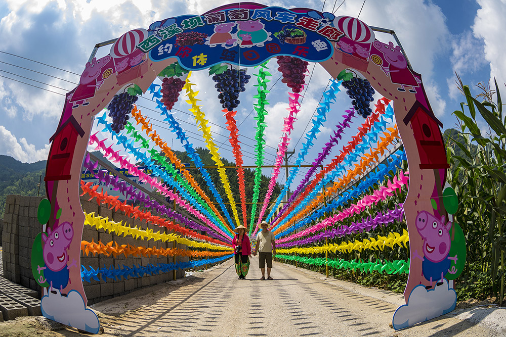 08-为葡萄观光采摘季准备的风车廊道