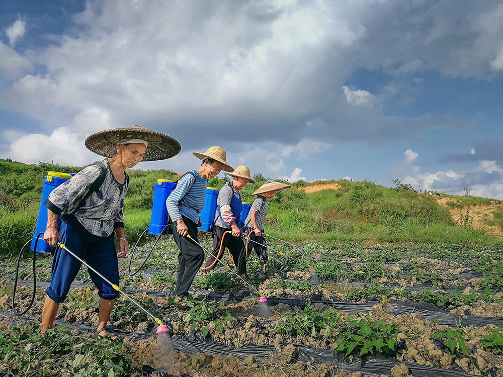 产业扶贫惠乡村