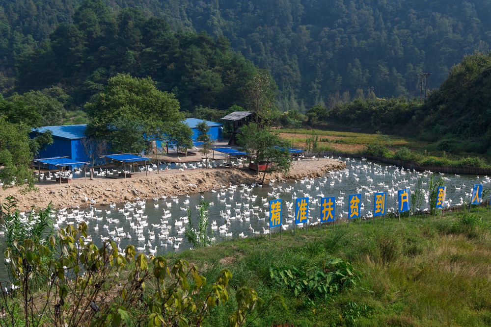 2019年拍摄于湖南省会同县团河镇,农村贫困大学生不等不靠,通过自己