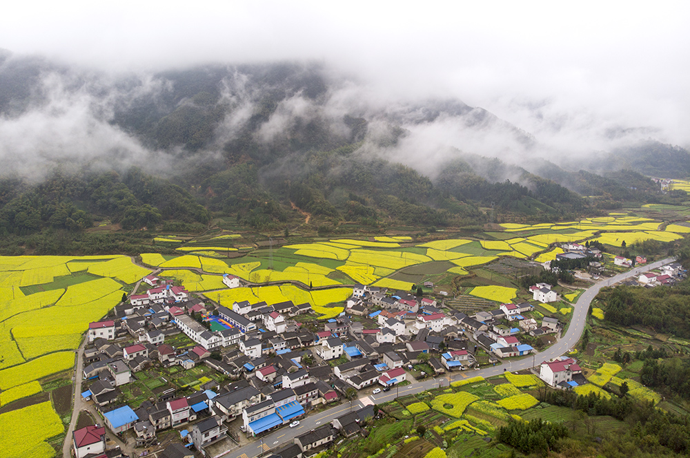 石台县七都镇高路亭村,自然风光,生态美景
