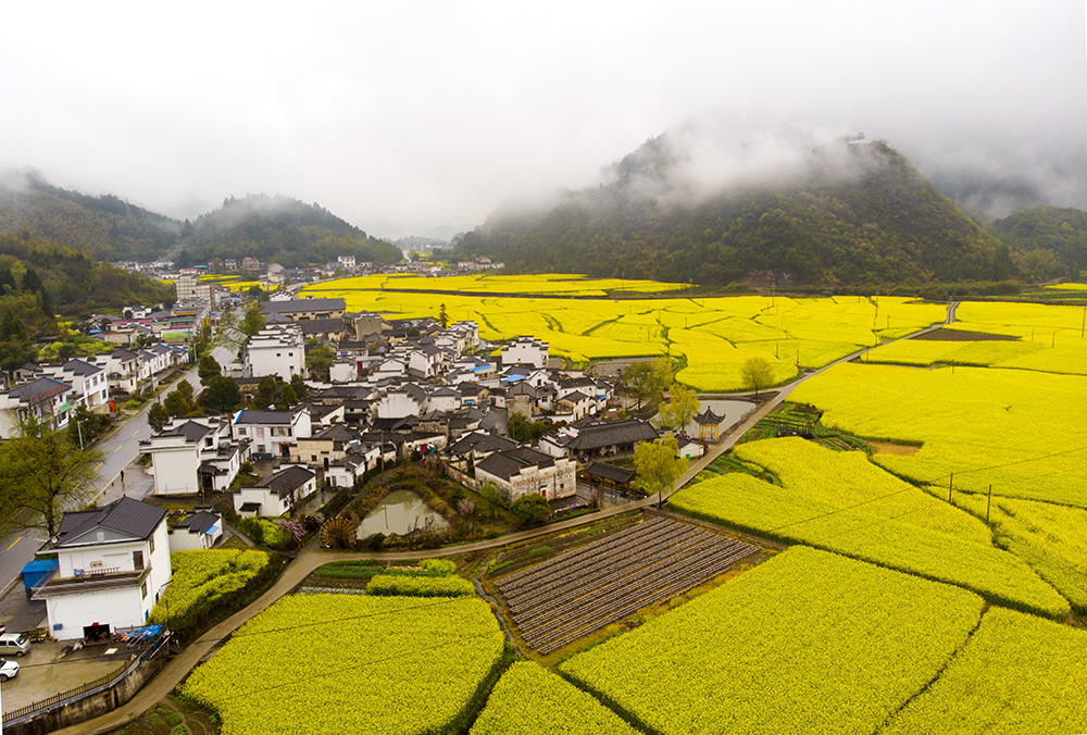石台县七都镇高路亭村,自然风光,生态美景
