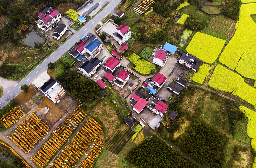 石台县七都镇高路亭村,自然风光,生态美景