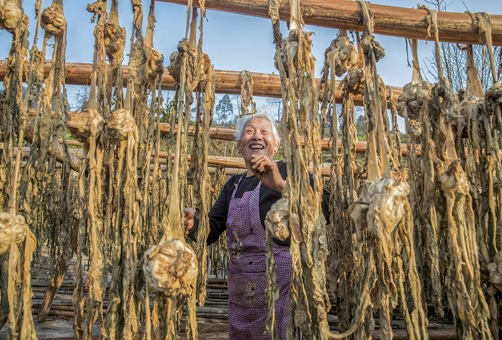 飘香老盐菜(组照)