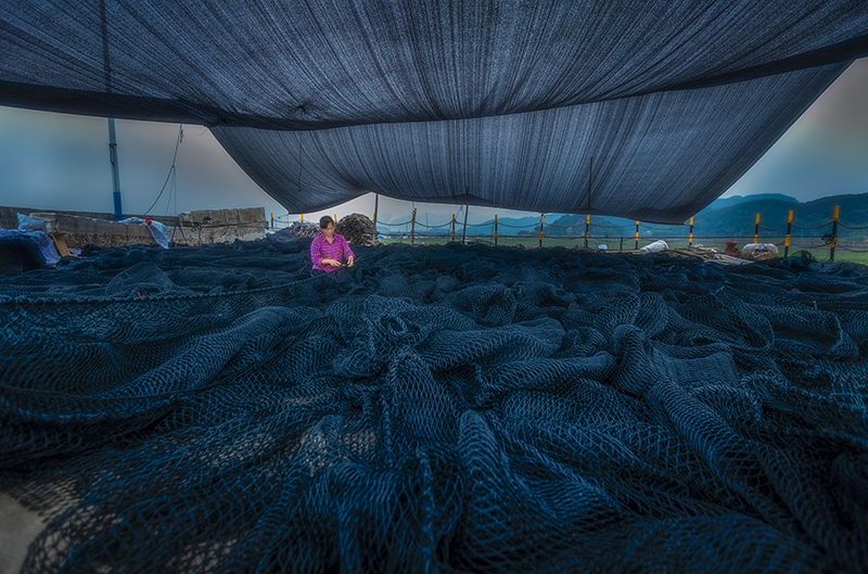 编织鱼网-"闽东之光"第十一届宁德好风光全国摄影大展-大众摄影网