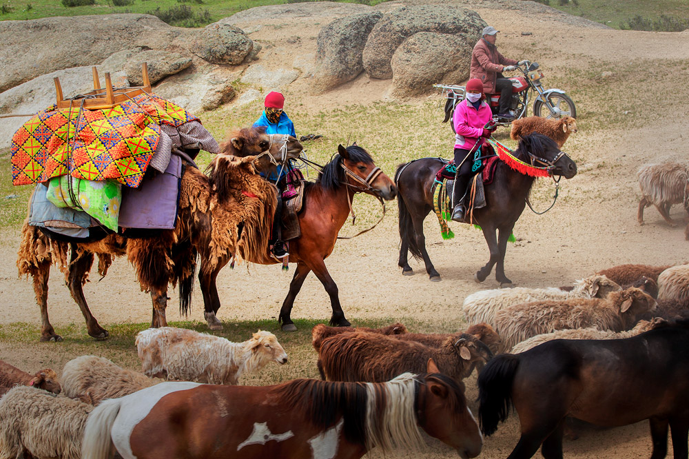 哈萨克族牧民规模养殖致富快(组照)