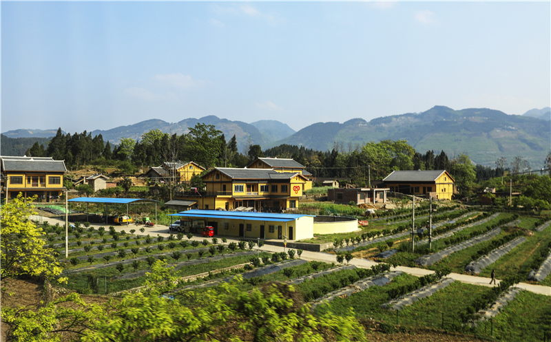 叙永石厢子彝族乡堰塘新村精准扶贫展新颜