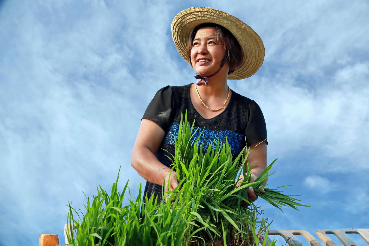 《农家女》摄浙江省江山市枫林镇茅坂村种粮专业户祝玉.