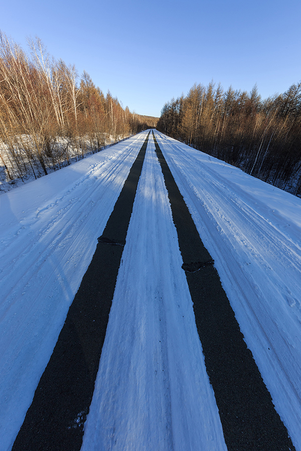 从额尔古纳来到根河,先导航到敖鲁古雅景区,无意间走了这条一望无际的