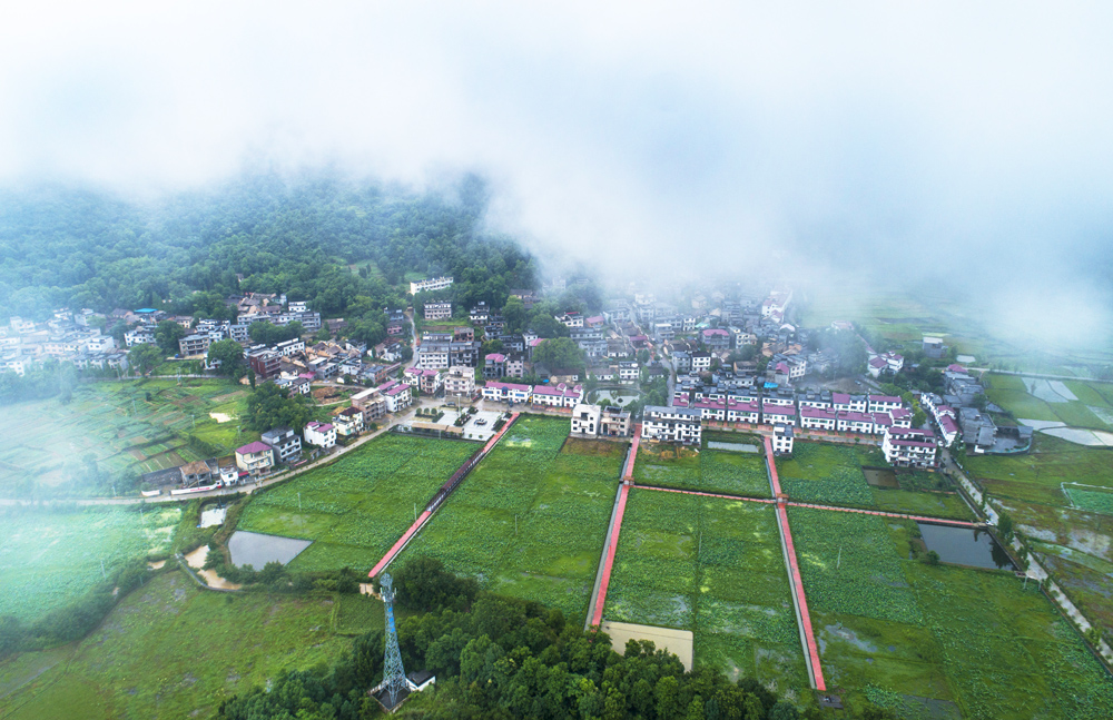 《家园》江西万载县鹅峰乡新农村建设风貌.jpg