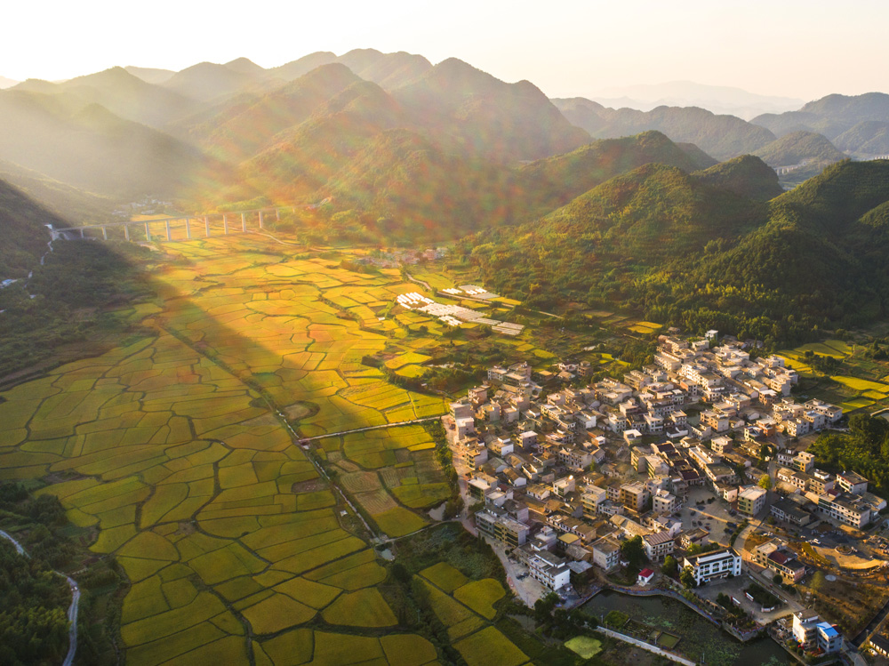 《熠熠生辉》江西上高县南港镇大山深处的新农村建设和产业扶贫有机农