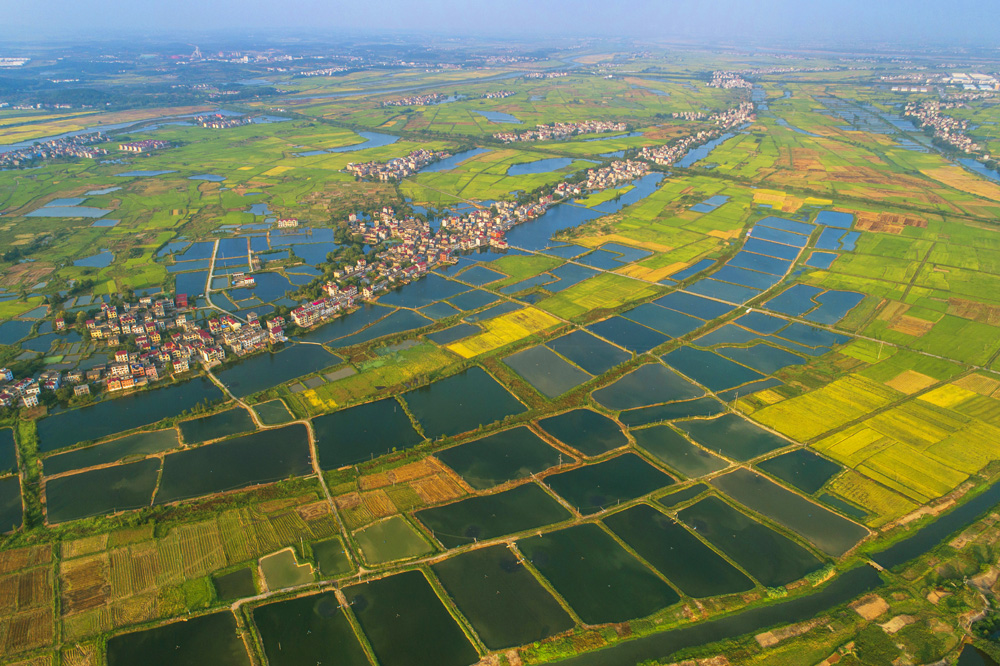 《鱼米之乡》江西樟树市张家山镇郭坊村扶贫专业合作社渔业基地.jpg.