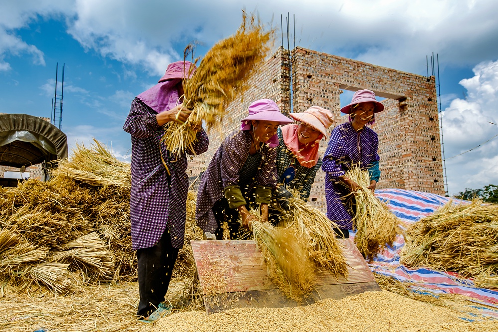 《丰收的喜悦》
