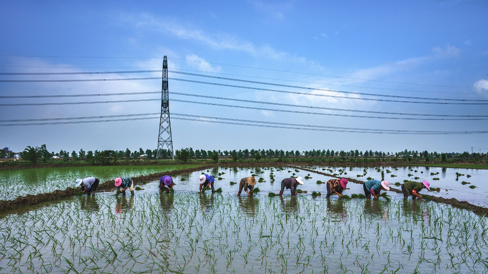 耕耘-中国第二届扶贫公益摄影大展投稿区-大众摄影网