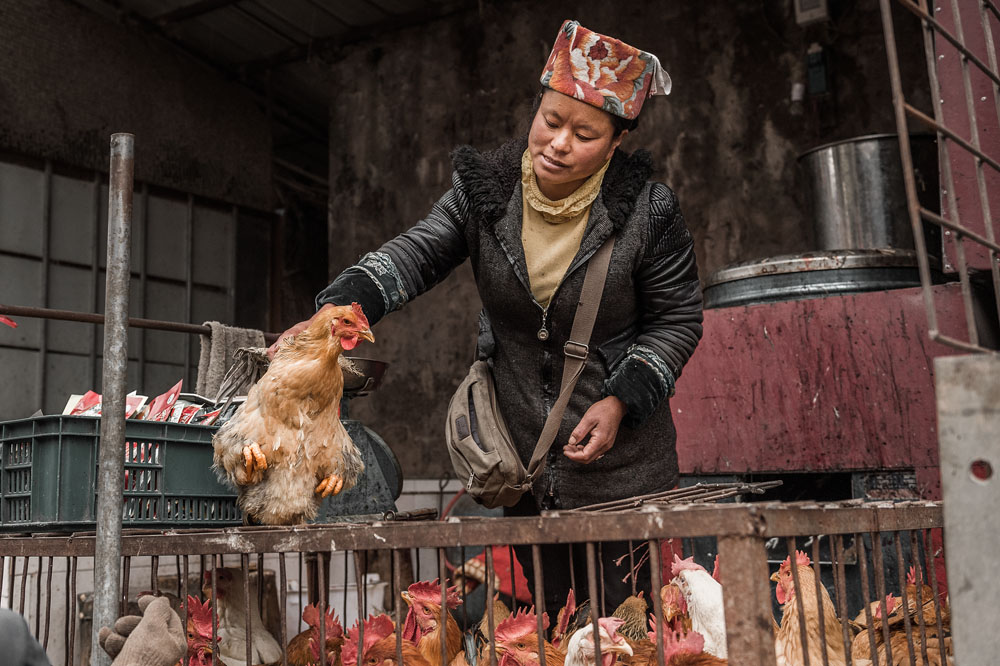 卖鸡-中国第二届扶贫公益摄影大展投稿区-大众摄影网 -