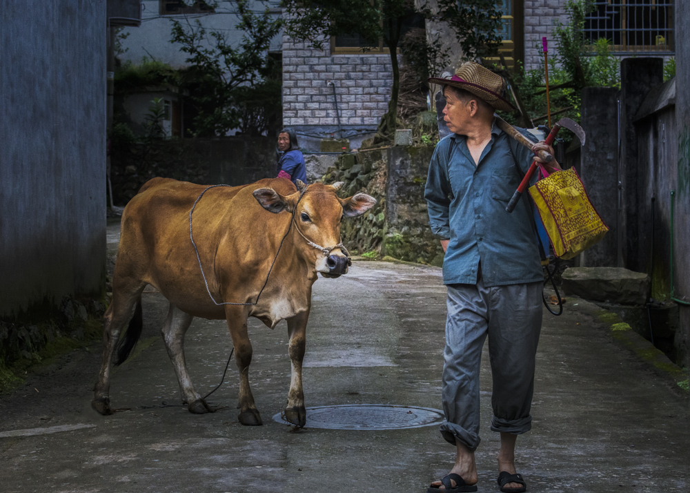 组照《致富之路》之三