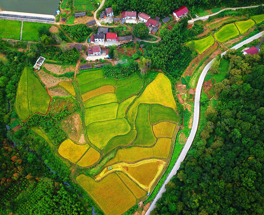 鸟瞰美丽乡村
