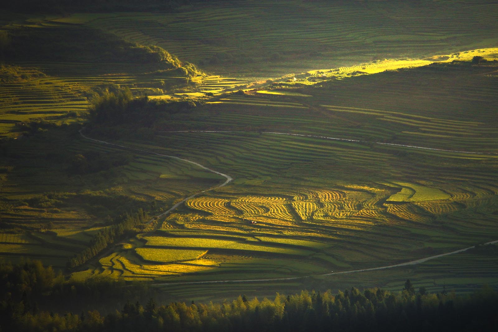 《希望的田野》组照-中国第二届扶贫公益摄影大展投稿区-大众摄影网