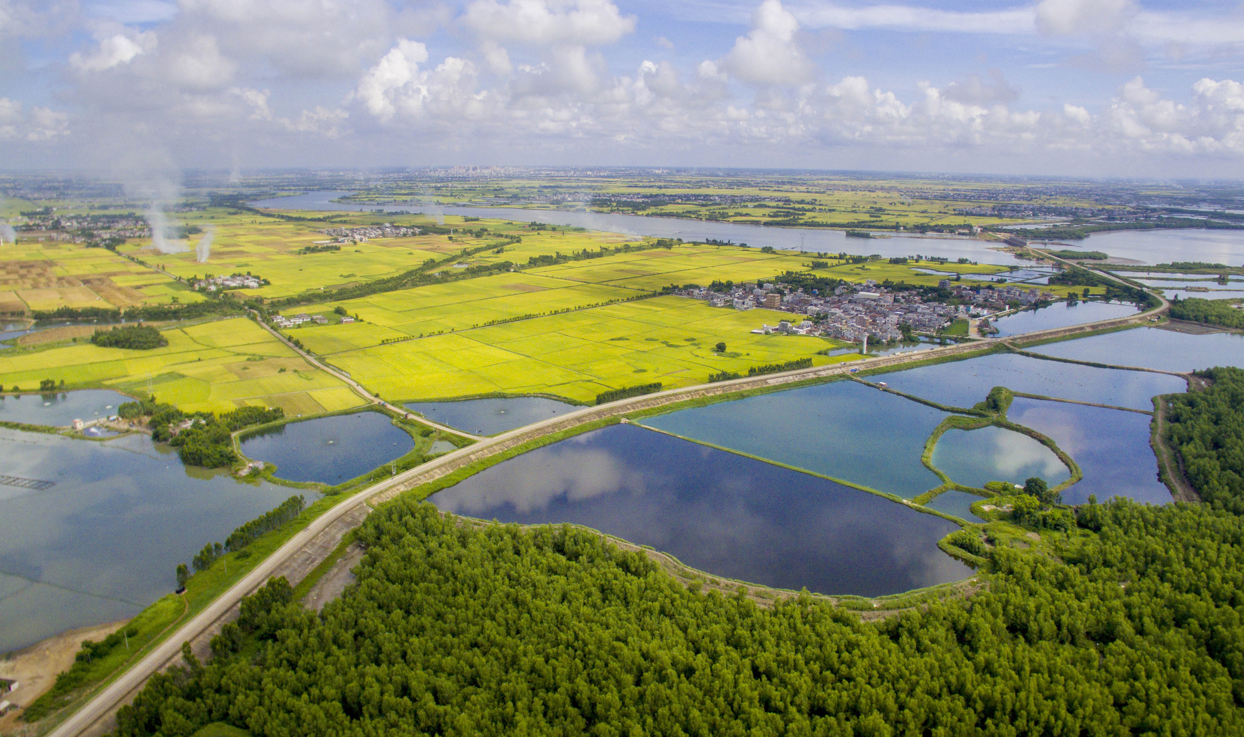 施裕红 《大地这美》 13553544227 雷州市南渡河