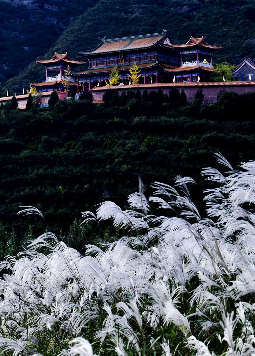 古刹(凤县消灾寺)秋色