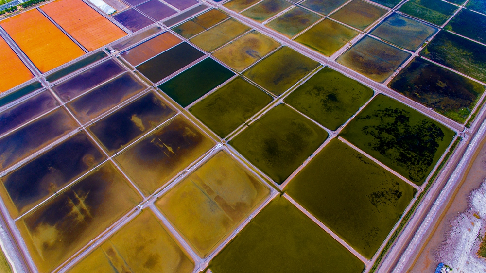 2018年9月拍摄于南海新区高岛盐田