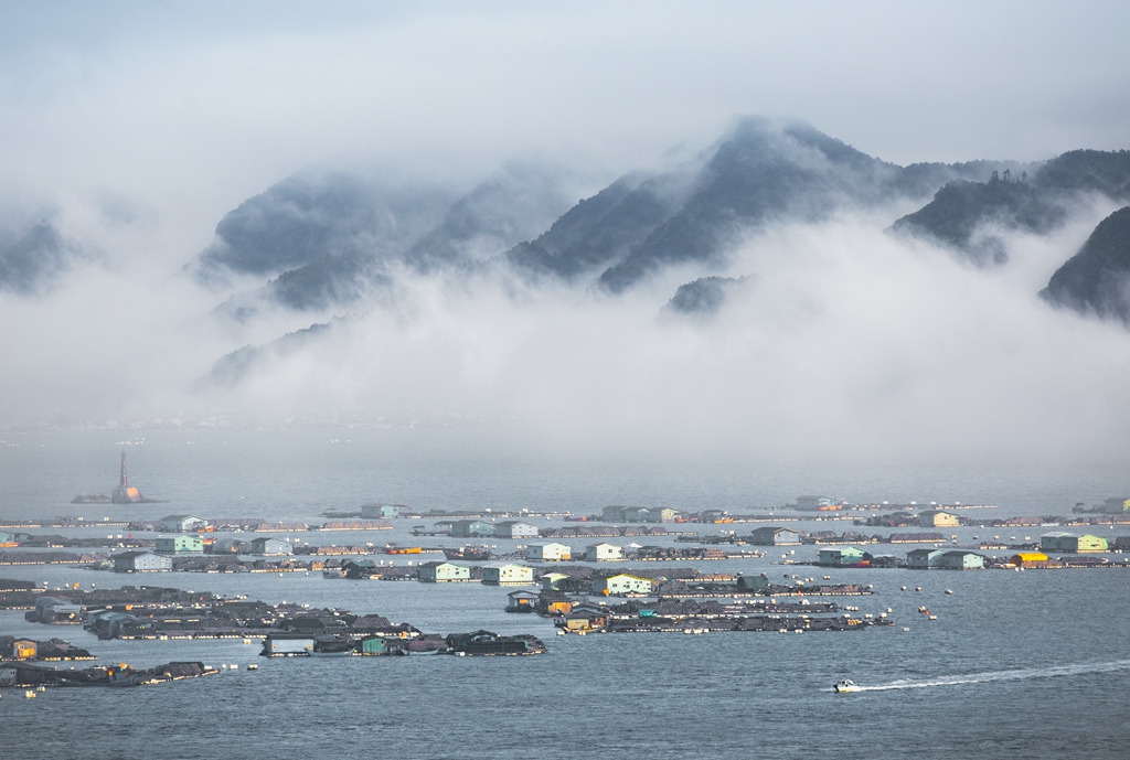 2019年4月16日摄霞浦东冲口