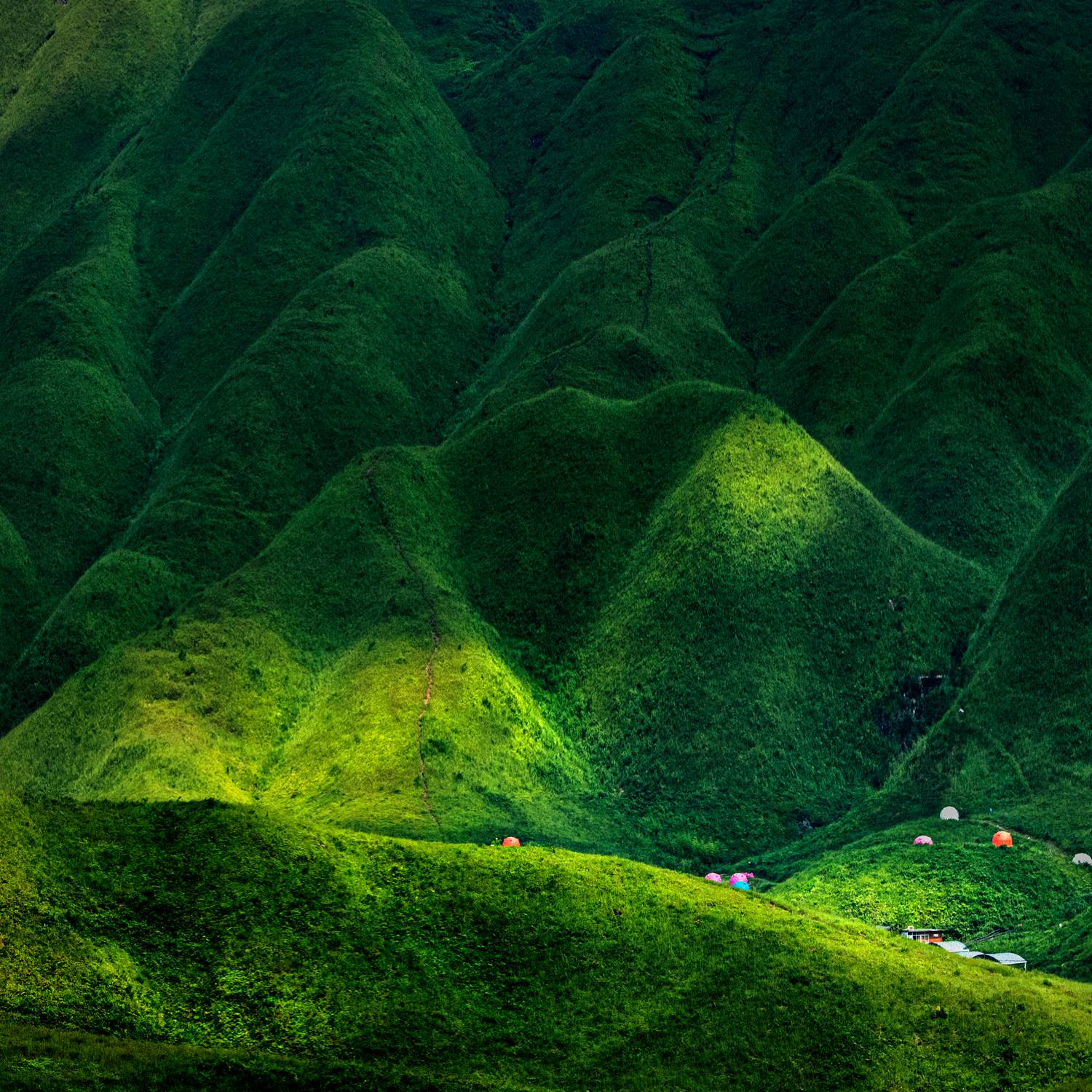 《丘陵草岗》——柯志生 摄2019年8月摄于福建宁德.jpg