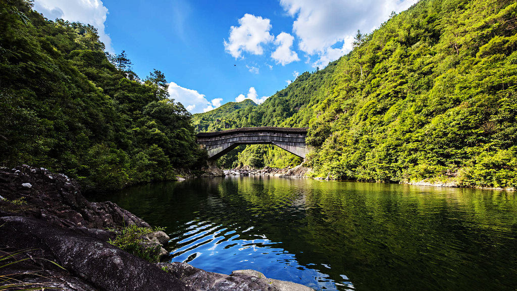 廊桥遗韵 2018年8月摄于福建省寿宁县 18016775698.jpg