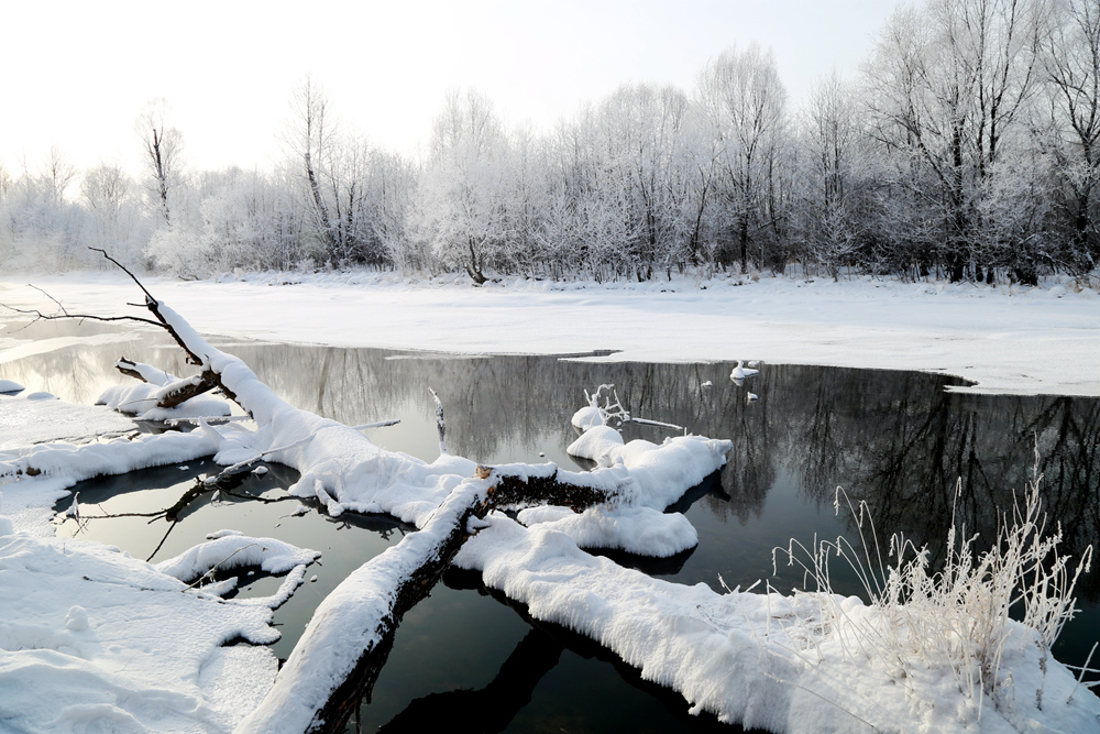 不冻河冬景-"中国冷极61根河"全国摄影大展投稿区-大众摄影网