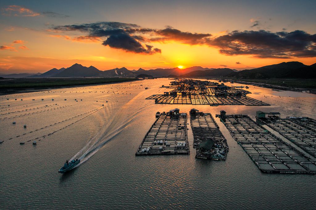   碧海利箭>>—拍摄于宁德霞浦盐田