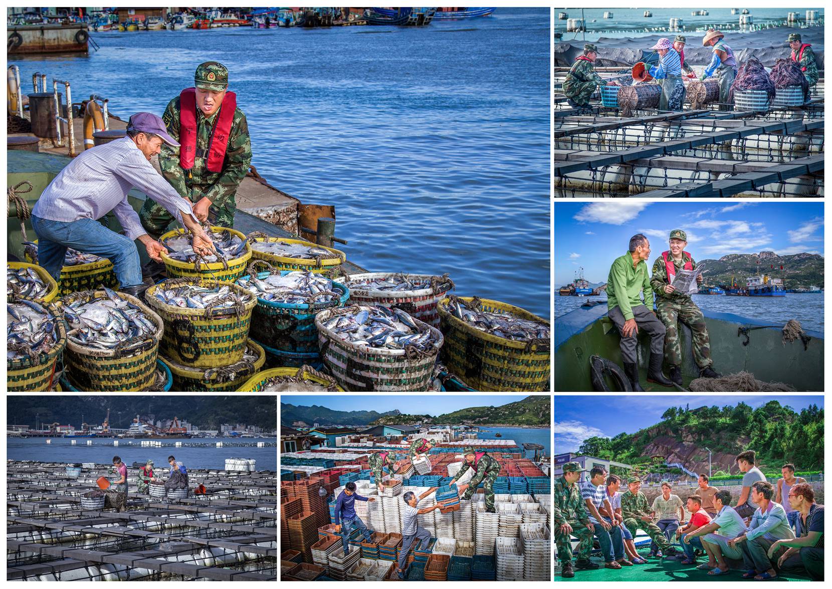 00-《海上军民鱼水情》组照 2017年9月拍摄于三都澳海上,养殖鱼排