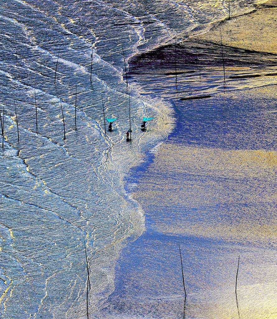 标题 金色滩头 (组照之七) 摄于霞浦县