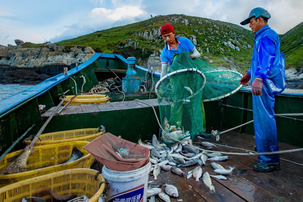 《出海捕鱼》(组图6幅)