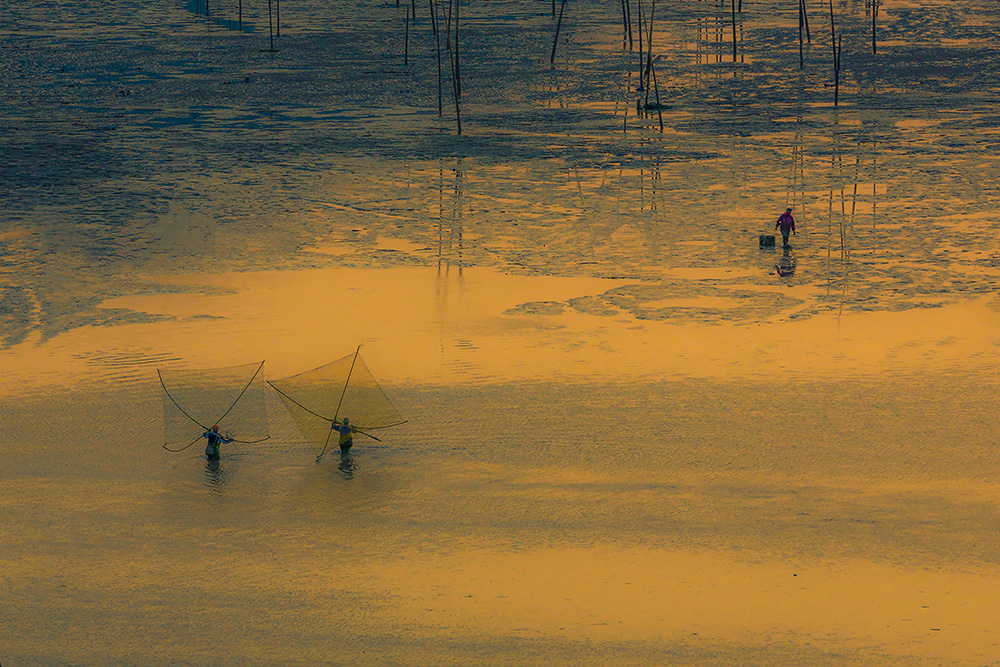 《赶海拾贝》2017-04-28 摄于福建宁德霞浦花竹