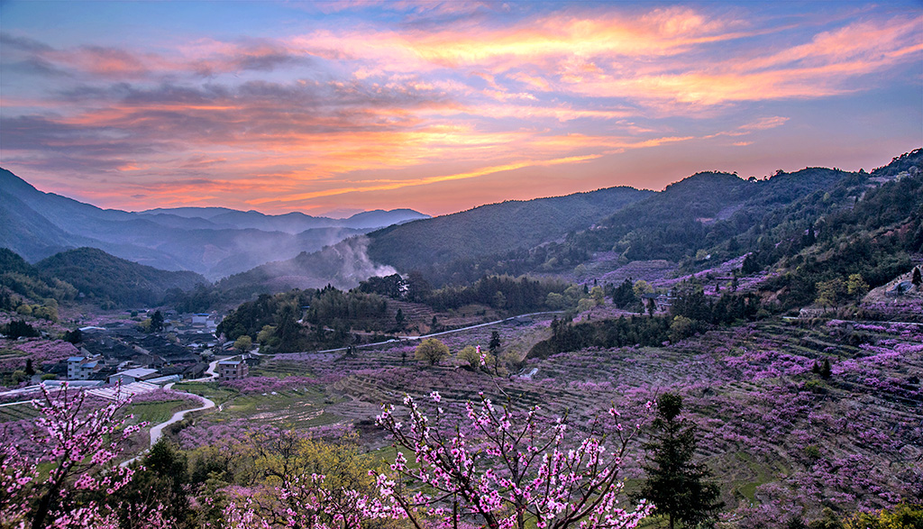 兰坦桃花开 拍于宁德古田县兰坦村